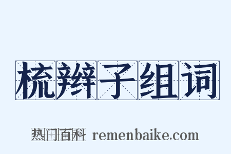 梳辫子组词是什么意思的图片